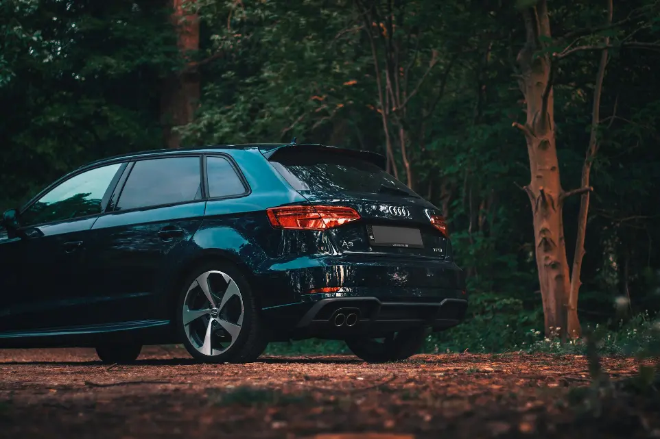 black honda car on forest during daytime